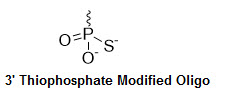 Bio-Synthesis Inc. Oligo Structure